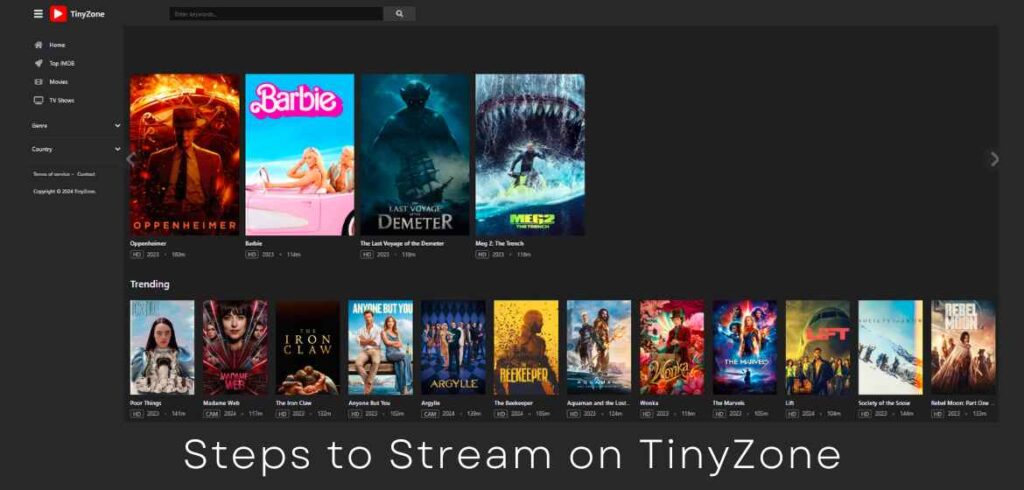 Steps to Stream on TinyZone